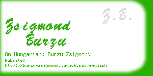 zsigmond burzu business card